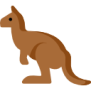kangaroo (1)