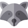 raccoon (2)