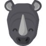 rhino (1)