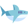 shark (1)